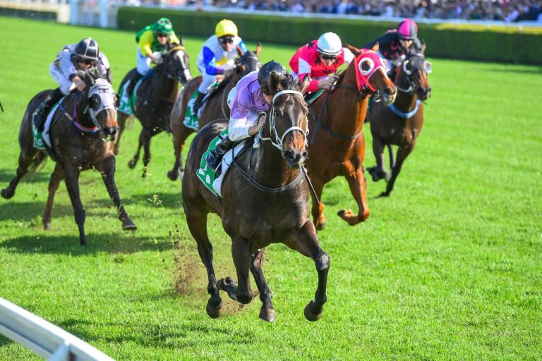 Melbourne Cup Tips And Tricks: A Cheat Sheet For New Bettors